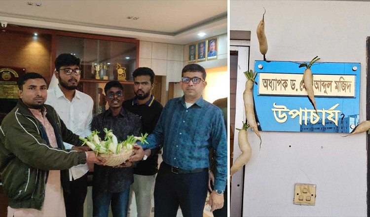 দাবি বাস্তবায়ন না হওয়ায় যবিপ্রবি উপাচার্যকে প্রতীকী ‘মুলা’ উপহার