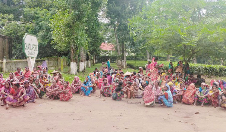 চা বাগানে অন্তঃসত্ত্বা নারীর মৃত্যু, শ্রমিকদের বিক্ষোভ