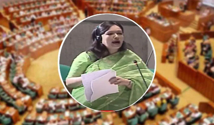 “হাসপাতালটাই যেন রোগী”—সংসদে সরাইলের স্বাস্থ্যসেবার করুণ চিত্র