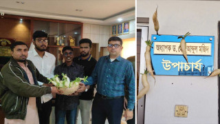দাবি বাস্তবায়ন না হওয়ায় যবিপ্রবি উপাচার্যকে প্রতীকী ‘মুলা’ উপহার