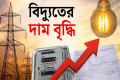 জ্বালানি মূল্য বৃদ্ধির পর এবার বাড়ল বিদ্যুতের দাম
